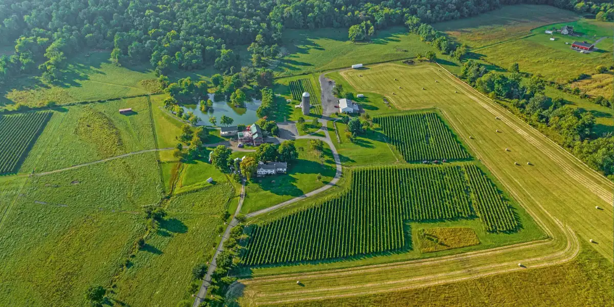 windham farm and doukenie winery