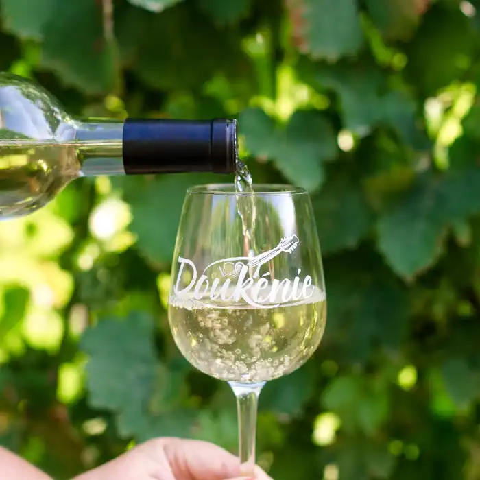 visit doukenie winery and have a glass of wine