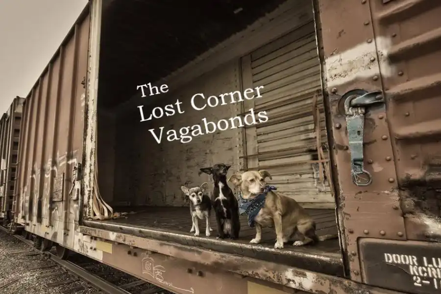the lost corner vagabonds musicians