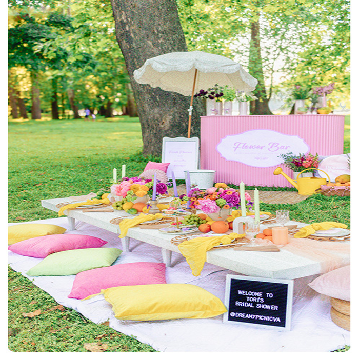 DreamyPicnic